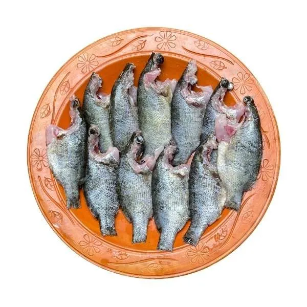 মেনি মাছ